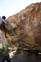 Cayce Wilson rock climbing on No One Gets Out of Here Alive (V2) in Hueco Tanks State Park and Historic Site during the Hueco Tanks Awesome Fest 2010 trip, Sunday, May 23, 2010.

Filename: SRM_20100523_11295640.JPG
Aperture: f/5.6
Shutter Speed: 1/500
Body: Canon EOS-1D Mark II
Lens: Canon EF 16-35mm f/2.8 L