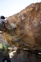 Cayce Wilson rock climbing on No One Gets Out of Here Alive (V2) in Hueco Tanks State Park and Historic Site during the Hueco Tanks Awesome Fest 2010 trip, Sunday, May 23, 2010.

Filename: SRM_20100523_11295841.JPG
Aperture: f/5.6
Shutter Speed: 1/500
Body: Canon EOS-1D Mark II
Lens: Canon EF 16-35mm f/2.8 L