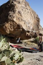 Cayce Wilson rock climbing on No One Gets Out of Here Alive (V2) in Hueco Tanks State Park and Historic Site during the Hueco Tanks Awesome Fest 2010 trip, Sunday, May 23, 2010.

Filename: SRM_20100523_18551629.JPG
Aperture: f/8.0
Shutter Speed: 1/800
Body: Canon EOS-1D Mark II
Lens: Canon EF 16-35mm f/2.8 L