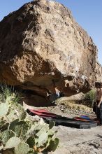 Cayce Wilson rock climbing on No One Gets Out of Here Alive (V2) in Hueco Tanks State Park and Historic Site during the Hueco Tanks Awesome Fest 2010 trip, Sunday, May 23, 2010.

Filename: SRM_20100523_18552430.JPG
Aperture: f/8.0
Shutter Speed: 1/800
Body: Canon EOS-1D Mark II
Lens: Canon EF 16-35mm f/2.8 L