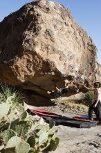 Cayce Wilson rock climbing on No One Gets Out of Here Alive (V2) in Hueco Tanks State Park and Historic Site during the Hueco Tanks Awesome Fest 2010 trip, Sunday, May 23, 2010.

Filename: SRM_20100523_18552634.JPG
Aperture: f/8.0
Shutter Speed: 1/800
Body: Canon EOS-1D Mark II
Lens: Canon EF 16-35mm f/2.8 L