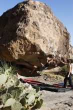 Cayce Wilson rock climbing on No One Gets Out of Here Alive (V2) in Hueco Tanks State Park and Historic Site during the Hueco Tanks Awesome Fest 2010 trip, Sunday, May 23, 2010.

Filename: SRM_20100523_18552735.JPG
Aperture: f/8.0
Shutter Speed: 1/800
Body: Canon EOS-1D Mark II
Lens: Canon EF 16-35mm f/2.8 L