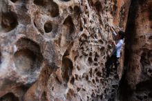 Bouldering in Hueco Tanks on 03/19/2016 with Blue Lizard Climbing and Yoga

Filename: SRM_20160319_1600430.jpg
Aperture: f/4.0
Shutter Speed: 1/60
Body: Canon EOS 20D
Lens: Canon EF 16-35mm f/2.8 L