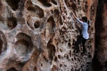 Bouldering in Hueco Tanks on 03/19/2016 with Blue Lizard Climbing and Yoga

Filename: SRM_20160319_1600500.jpg
Aperture: f/4.0
Shutter Speed: 1/60
Body: Canon EOS 20D
Lens: Canon EF 16-35mm f/2.8 L