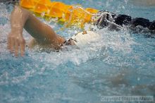 Vesna Stojanovska placed 5th in the women's 500 yd freestyle against UVA

Filename: crw_3759_std.jpg
Aperture: f/2.8
Shutter Speed: 1/500
Body: Canon EOS DIGITAL REBEL
Lens: Canon EF 80-200mm f/2.8 L