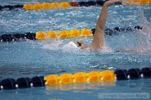 Michelle Maguire placed 6th in the 200m medley against FSU, UMD and VT

Filename: crw_3041_std.jpg
Aperture: f/2.8
Shutter Speed: 1/500
Body: Canon EOS DIGITAL REBEL
Lens: Canon EF 80-200mm f/2.8 L