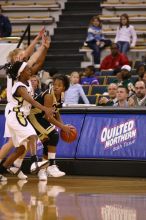 The Georgia Tech women's basketball team played Wake Forest.

Filename: IMG_1079.jpg
Aperture: f/2.8
Shutter Speed: 1/250
Body: Canon EOS DIGITAL REBEL
Lens: Canon EF 80-200mm f/2.8 L