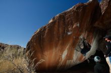 

Filename: SRM_20180224_1423250.jpg
Aperture: f/8.0
Shutter Speed: 1/250
Body: Canon EOS-1D Mark II
Lens: Canon EF 16-35mm f/2.8 L