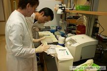 Lilya Matyunina trains new graduate student Masahin Kajita in the Ovarian Cancer Institute lab located in IBB.

Filename: crw_0794_std.jpg
Aperture: f/5.0
Shutter Speed: 1/60
Body: Canon EOS DIGITAL REBEL
Lens: Canon EF-S 18-55mm f/3.5-5.6