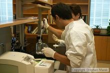 Lilya Matyunina trains new graduate student Masahin Kajita in the Ovarian Cancer Institute lab located in IBB.

Filename: crw_0791_std.jpg
Aperture: f/4.5
Shutter Speed: 1/60
Body: Canon EOS DIGITAL REBEL
Lens: Canon EF-S 18-55mm f/3.5-5.6