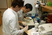 Lilya Matyunina trains new graduate student Masahin Kajita in the Ovarian Cancer Institute lab located in IBB.

Filename: crw_0796_std.jpg
Aperture: f/5.0
Shutter Speed: 1/60
Body: Canon EOS DIGITAL REBEL
Lens: Canon EF-S 18-55mm f/3.5-5.6