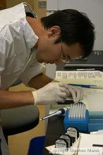 Lilya Matyunina trains new graduate student Masahin Kajita in the Ovarian Cancer Institute lab located in IBB.

Filename: crw_0799_std.jpg
Aperture: f/5.6
Shutter Speed: 1/60
Body: Canon EOS DIGITAL REBEL
Lens: Canon EF-S 18-55mm f/3.5-5.6