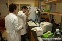 Lilya Matyunina trains new graduate student Masahin Kajita in the Ovarian Cancer Institute lab located in IBB.

Filename: crw_0793_std.jpg
Aperture: f/5.6
Shutter Speed: 1/60
Body: Canon EOS DIGITAL REBEL
Lens: Canon EF-S 18-55mm f/3.5-5.6