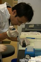 Lilya Matyunina trains new graduate student Masahin Kajita in the Ovarian Cancer Institute lab located in IBB.

Filename: crw_0802_std.jpg
Aperture: f/5.6
Shutter Speed: 1/60
Body: Canon EOS DIGITAL REBEL
Lens: Canon EF-S 18-55mm f/3.5-5.6