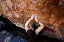 Bouldering in Hueco Tanks on 11/02/2018 with Blue Lizard Climbing and Yoga

Filename: SRM_20181102_1127130.jpg
Aperture: f/4.0
Shutter Speed: 1/400
Body: Canon EOS-1D Mark II
Lens: Canon EF 16-35mm f/2.8 L