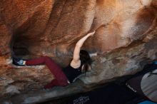 Bouldering in Hueco Tanks on 11/02/2018 with Blue Lizard Climbing and Yoga

Filename: SRM_20181102_1355450.jpg
Aperture: f/4.0
Shutter Speed: 1/320
Body: Canon EOS-1D Mark II
Lens: Canon EF 16-35mm f/2.8 L