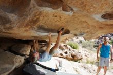 Bouldering in Hueco Tanks on 11/03/2018 with Blue Lizard Climbing and Yoga

Filename: SRM_20181103_0957220.jpg
Aperture: f/5.6
Shutter Speed: 1/800
Body: Canon EOS-1D Mark II
Lens: Canon EF 16-35mm f/2.8 L