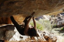 Bouldering in Hueco Tanks on 11/03/2018 with Blue Lizard Climbing and Yoga

Filename: SRM_20181103_1003560.jpg
Aperture: f/4.0
Shutter Speed: 1/1250
Body: Canon EOS-1D Mark II
Lens: Canon EF 50mm f/1.8 II