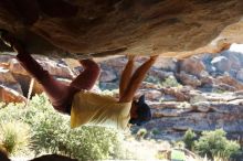 Bouldering in Hueco Tanks on 11/03/2018 with Blue Lizard Climbing and Yoga

Filename: SRM_20181103_1019100.jpg
Aperture: f/5.6
Shutter Speed: 1/320
Body: Canon EOS-1D Mark II
Lens: Canon EF 50mm f/1.8 II