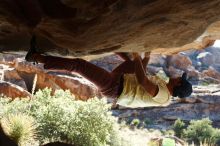 Bouldering in Hueco Tanks on 11/03/2018 with Blue Lizard Climbing and Yoga

Filename: SRM_20181103_1019200.jpg
Aperture: f/5.6
Shutter Speed: 1/400
Body: Canon EOS-1D Mark II
Lens: Canon EF 50mm f/1.8 II