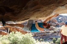 Bouldering in Hueco Tanks on 11/03/2018 with Blue Lizard Climbing and Yoga

Filename: SRM_20181103_1020130.jpg
Aperture: f/5.6
Shutter Speed: 1/320
Body: Canon EOS-1D Mark II
Lens: Canon EF 50mm f/1.8 II
