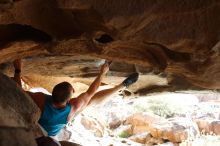 Bouldering in Hueco Tanks on 11/03/2018 with Blue Lizard Climbing and Yoga

Filename: SRM_20181103_1036490.jpg
Aperture: f/5.6
Shutter Speed: 1/200
Body: Canon EOS-1D Mark II
Lens: Canon EF 50mm f/1.8 II