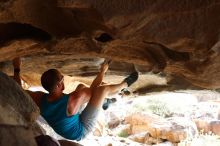 Bouldering in Hueco Tanks on 11/03/2018 with Blue Lizard Climbing and Yoga

Filename: SRM_20181103_1036500.jpg
Aperture: f/5.6
Shutter Speed: 1/200
Body: Canon EOS-1D Mark II
Lens: Canon EF 50mm f/1.8 II
