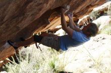 Bouldering in Hueco Tanks on 11/03/2018 with Blue Lizard Climbing and Yoga

Filename: SRM_20181103_1212380.jpg
Aperture: f/4.0
Shutter Speed: 1/1600
Body: Canon EOS-1D Mark II
Lens: Canon EF 50mm f/1.8 II