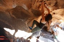 Bouldering in Hueco Tanks on 11/03/2018 with Blue Lizard Climbing and Yoga

Filename: SRM_20181103_1450360.jpg
Aperture: f/4.0
Shutter Speed: 1/320
Body: Canon EOS-1D Mark II
Lens: Canon EF 16-35mm f/2.8 L