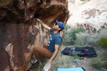 Bouldering in Hueco Tanks on 11/04/2018 with Blue Lizard Climbing and Yoga

Filename: SRM_20181104_1004080.jpg
Aperture: f/5.0
Shutter Speed: 1/200
Body: Canon EOS-1D Mark II
Lens: Canon EF 16-35mm f/2.8 L
