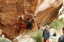 Bouldering in Hueco Tanks on 11/10/2018 with Blue Lizard Climbing and Yoga

Filename: SRM_20181110_1151370.jpg
Aperture: f/3.5
Shutter Speed: 1/320
Body: Canon EOS-1D Mark II
Lens: Canon EF 50mm f/1.8 II