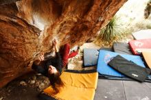 Bouldering in Hueco Tanks on 11/10/2018 with Blue Lizard Climbing and Yoga

Filename: SRM_20181110_1218130.jpg
Aperture: f/4.0
Shutter Speed: 1/320
Body: Canon EOS-1D Mark II
Lens: Canon EF 16-35mm f/2.8 L