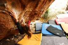 Bouldering in Hueco Tanks on 11/10/2018 with Blue Lizard Climbing and Yoga

Filename: SRM_20181110_1218160.jpg
Aperture: f/4.0
Shutter Speed: 1/250
Body: Canon EOS-1D Mark II
Lens: Canon EF 16-35mm f/2.8 L