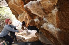 Bouldering in Hueco Tanks on 11/24/2018 with Blue Lizard Climbing and Yoga

Filename: SRM_20181124_1233390.jpg
Aperture: f/3.5
Shutter Speed: 1/250
Body: Canon EOS-1D Mark II
Lens: Canon EF 16-35mm f/2.8 L
