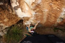 Bouldering in Hueco Tanks on 11/24/2018 with Blue Lizard Climbing and Yoga

Filename: SRM_20181124_1741210.jpg
Aperture: f/4.5
Shutter Speed: 1/250
Body: Canon EOS-1D Mark II
Lens: Canon EF 16-35mm f/2.8 L