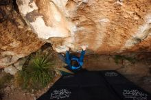 Bouldering in Hueco Tanks on 11/24/2018 with Blue Lizard Climbing and Yoga

Filename: SRM_20181124_1743040.jpg
Aperture: f/4.0
Shutter Speed: 1/250
Body: Canon EOS-1D Mark II
Lens: Canon EF 16-35mm f/2.8 L