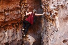 Bouldering in Hueco Tanks on 11/23/2018 with Blue Lizard Climbing and Yoga

Filename: SRM_20181123_1129150.jpg
Aperture: f/2.8
Shutter Speed: 1/100
Body: Canon EOS-1D Mark II
Lens: Canon EF 50mm f/1.8 II