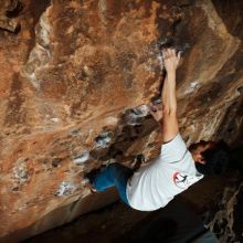 

Filename: SRM_20181122_1551280.jpg
Aperture: f/8.0
Shutter Speed: 1/250
Body: Canon EOS-1D Mark II
Lens: Canon EF 16-35mm f/2.8 L