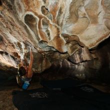 

Filename: SRM_20181122_1623200.jpg
Aperture: f/8.0
Shutter Speed: 1/250
Body: Canon EOS-1D Mark II
Lens: Canon EF 16-35mm f/2.8 L
