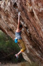 Bouldering in Hueco Tanks on 11/22/2018 with Blue Lizard Climbing and Yoga

Filename: SRM_20181122_1732380.jpg
Aperture: f/2.0
Shutter Speed: 1/320
Body: Canon EOS-1D Mark II
Lens: Canon EF 85mm f/1.2 L II