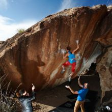 

Filename: SRM_20181120_1551400.jpg
Aperture: f/8.0
Shutter Speed: 1/250
Body: Canon EOS-1D Mark II
Lens: Canon EF 16-35mm f/2.8 L