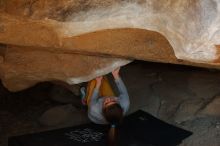 Bouldering in Hueco Tanks on 11/19/2018 with Blue Lizard Climbing and Yoga

Filename: SRM_20181119_1510320.jpg
Aperture: f/2.8
Shutter Speed: 1/250
Body: Canon EOS-1D Mark II
Lens: Canon EF 50mm f/1.8 II