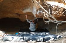 Bouldering in Hueco Tanks on 11/19/2018 with Blue Lizard Climbing and Yoga

Filename: SRM_20181119_1534320.jpg
Aperture: f/2.8
Shutter Speed: 1/250
Body: Canon EOS-1D Mark II
Lens: Canon EF 50mm f/1.8 II