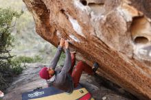 Bouldering in Hueco Tanks on 11/09/2018 with Blue Lizard Climbing and Yoga

Filename: SRM_20181109_1659140.jpg
Aperture: f/2.8
Shutter Speed: 1/500
Body: Canon EOS-1D Mark II
Lens: Canon EF 85mm f/1.2 L II