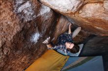 Bouldering in Hueco Tanks on 12/01/2018 with Blue Lizard Climbing and Yoga

Filename: SRM_20181201_1656510.jpg
Aperture: f/4.0
Shutter Speed: 1/250
Body: Canon EOS-1D Mark II
Lens: Canon EF 16-35mm f/2.8 L