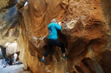 Bouldering in Hueco Tanks on 12/22/2018 with Blue Lizard Climbing and Yoga

Filename: SRM_20181222_1514500.jpg
Aperture: f/4.0
Shutter Speed: 1/80
Body: Canon EOS-1D Mark II
Lens: Canon EF 16-35mm f/2.8 L