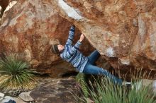 Bouldering in Hueco Tanks on 12/30/2018 with Blue Lizard Climbing and Yoga

Filename: SRM_20181230_1546080.jpg
Aperture: f/4.0
Shutter Speed: 1/320
Body: Canon EOS-1D Mark II
Lens: Canon EF 50mm f/1.8 II