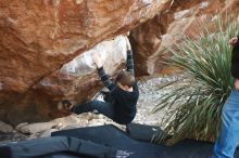 Bouldering in Hueco Tanks on 12/30/2018 with Blue Lizard Climbing and Yoga

Filename: SRM_20181230_1547230.jpg
Aperture: f/2.5
Shutter Speed: 1/320
Body: Canon EOS-1D Mark II
Lens: Canon EF 50mm f/1.8 II