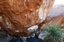 Bouldering in Hueco Tanks on 12/30/2018 with Blue Lizard Climbing and Yoga

Filename: SRM_20181230_1625020.jpg
Aperture: f/5.0
Shutter Speed: 1/200
Body: Canon EOS-1D Mark II
Lens: Canon EF 16-35mm f/2.8 L
