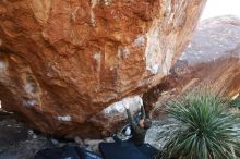 Bouldering in Hueco Tanks on 12/30/2018 with Blue Lizard Climbing and Yoga

Filename: SRM_20181230_1625020.jpg
Aperture: f/5.0
Shutter Speed: 1/200
Body: Canon EOS-1D Mark II
Lens: Canon EF 16-35mm f/2.8 L